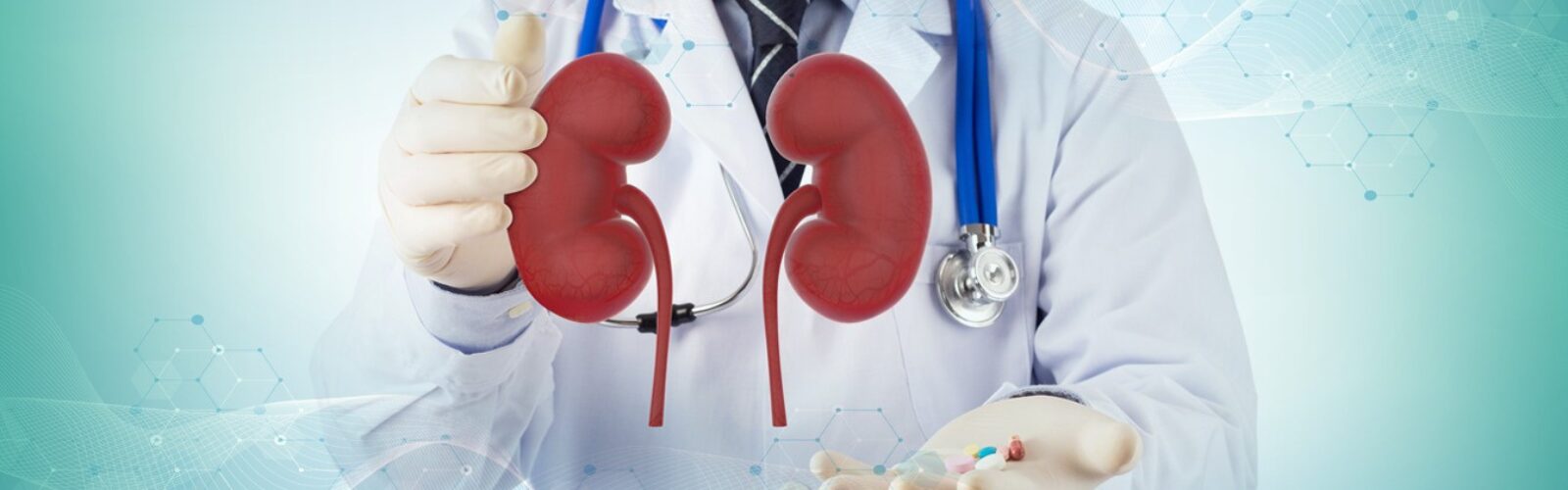 Dialysis Centre at Shoor Hospital